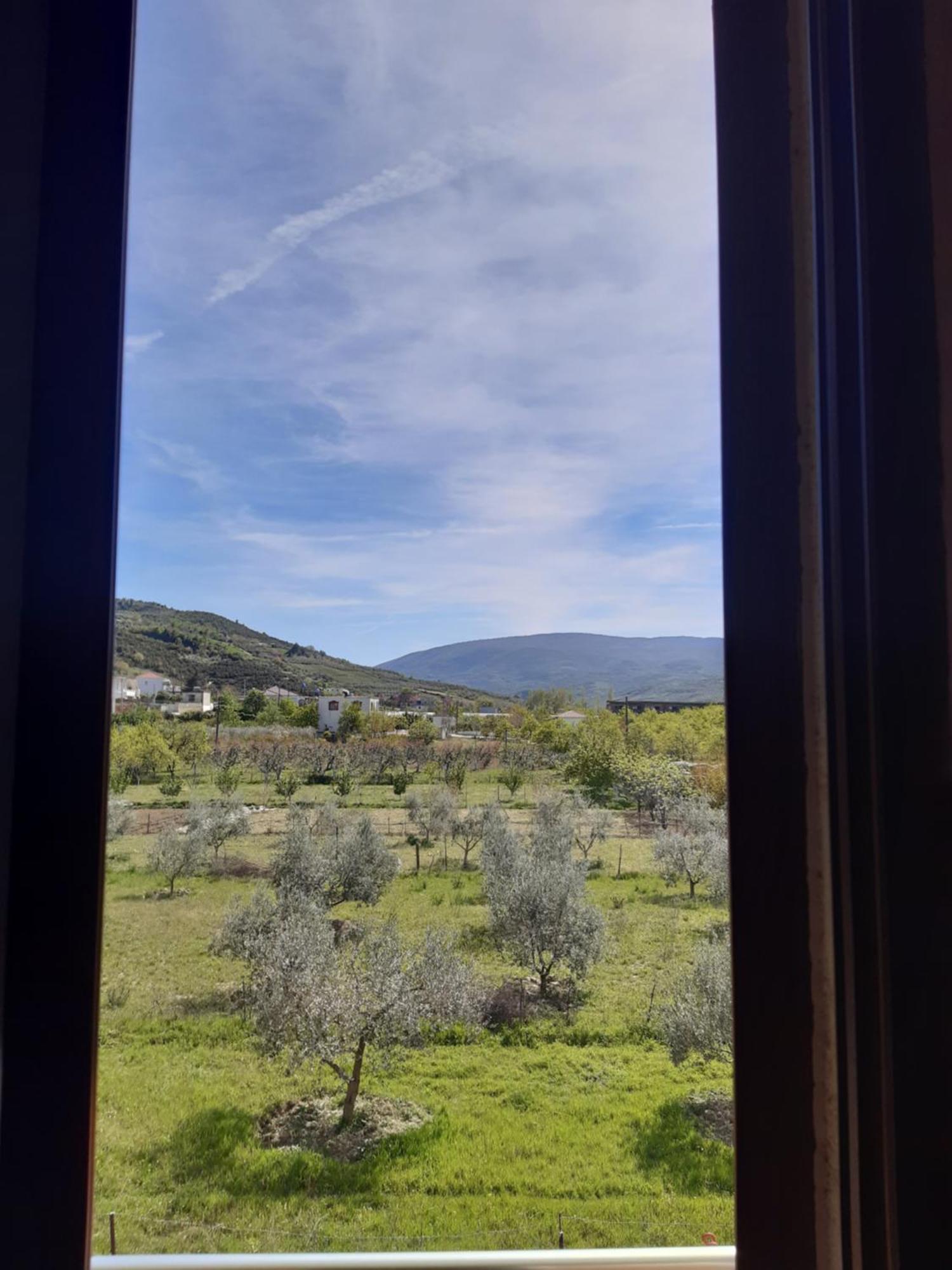 Villa Ari Berat Buitenkant foto
