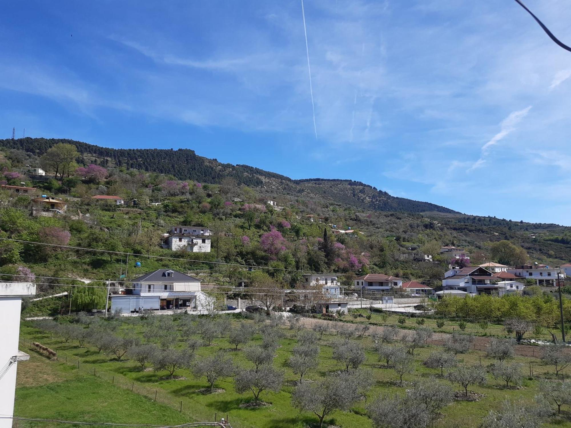 Villa Ari Berat Buitenkant foto