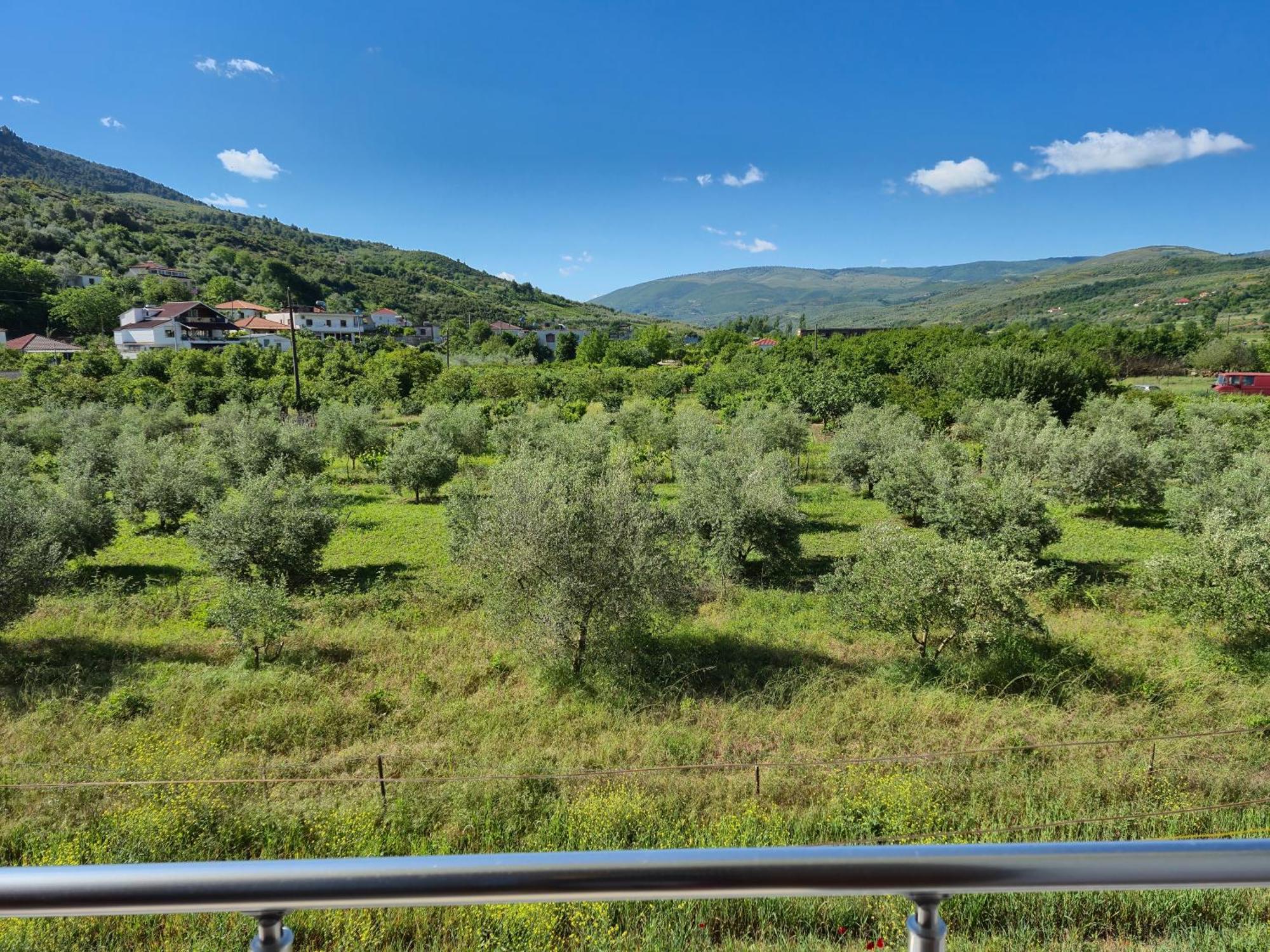 Villa Ari Berat Buitenkant foto